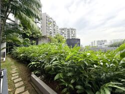 Bidadari Park Drive (D13), Apartment #574583001